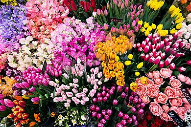 MOBA新作《龙珠：激震小队》九月登陆全平台